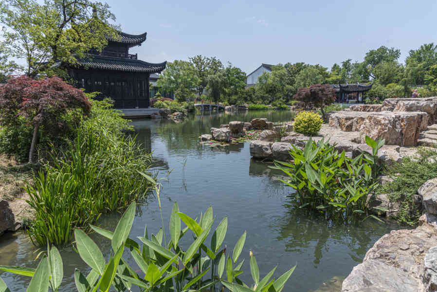 China - Suzhou 23 - Colina del Tigre - jardín de bonsáis
